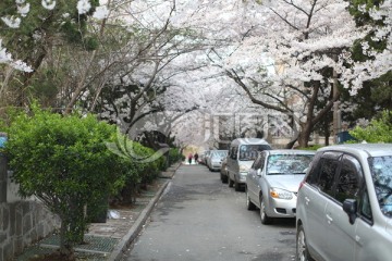 青岛三明路