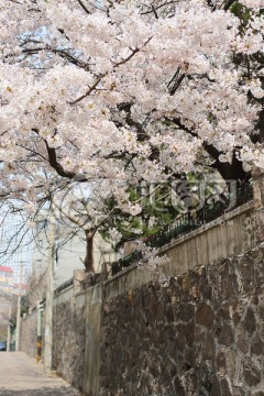 青岛三明路