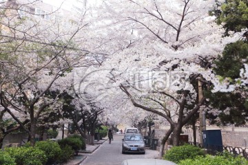 青岛 青岛风光 城市风光 五