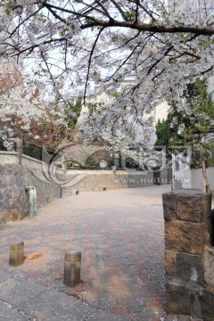 青岛 青岛风光 城市风光 五