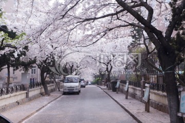 青岛 青岛风光 城市风光 五