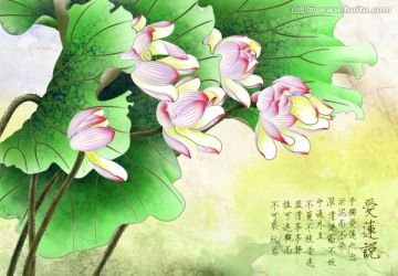 愛蓮說