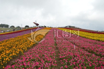 花园