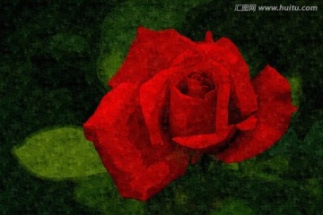 抽象藝術(shù)花卉