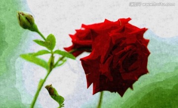 抽象藝術(shù)花卉