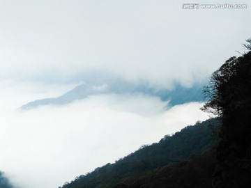 梵净山云海