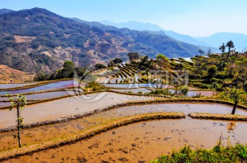 梯田风光（高清）