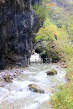 山泉 溪流