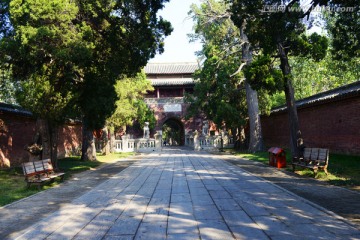 山东曲阜孔庙 游步道