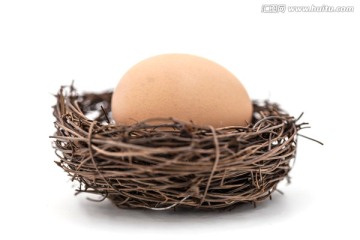 鸟巢 蛋