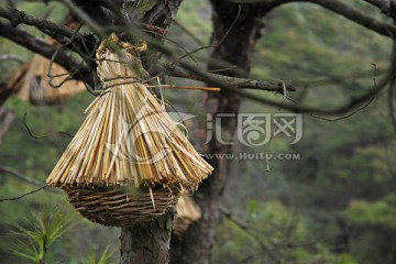 山林中的人工鸟巢特写