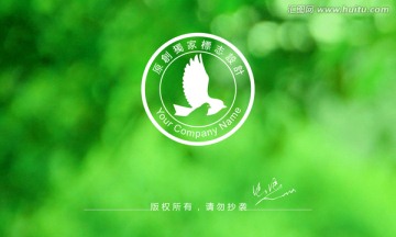 飞翔logo 学校logo