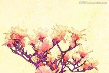 玉蘭花油畫