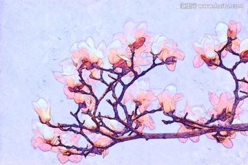 玉蘭花油畫