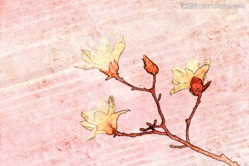 玉蘭花油畫