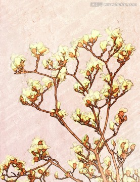 玉蘭花油畫