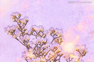 玉蘭花油畫