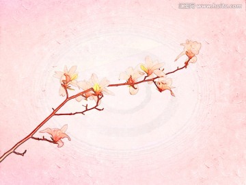 玉蘭花油畫