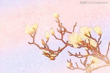 玉蘭花油畫