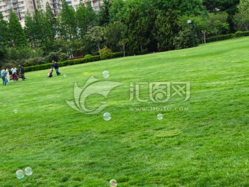 草坪上的风景