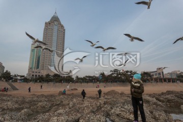 喂食海鸥的儿童