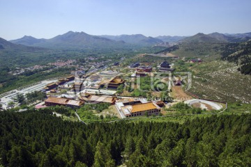 青州龙兴寺全景