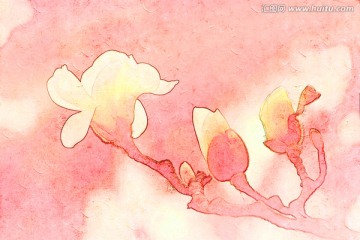 玉兰花油画