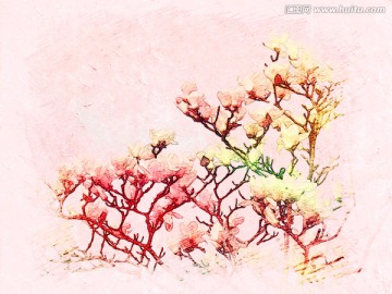 玉蘭花油畫