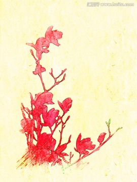 玉兰花油画