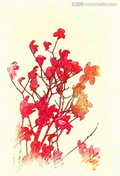 玉兰花油画