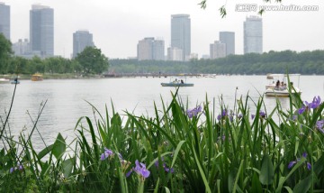 湖岸 都市风光