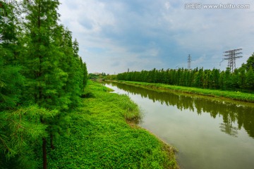 小河绿树