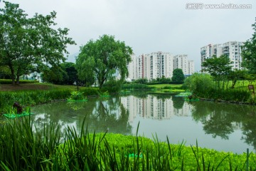 池塘建筑