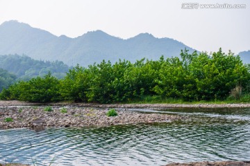 楠溪江滩林