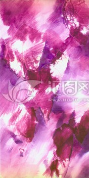 時(shí)尚數(shù)碼印花女裝面料花型未分層