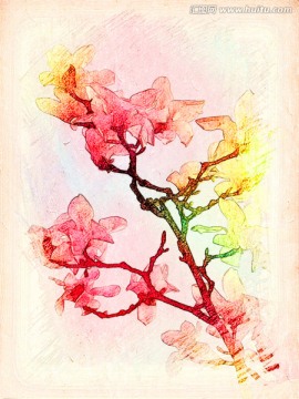玉蘭花油畫