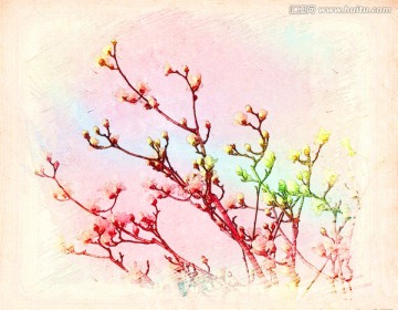 玉蘭花油畫