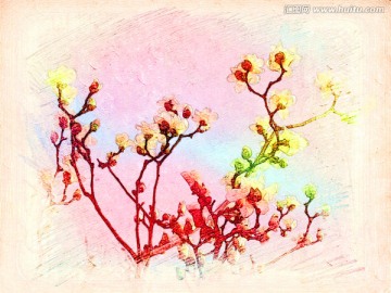 玉蘭花油畫