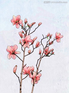 玉蘭花油畫