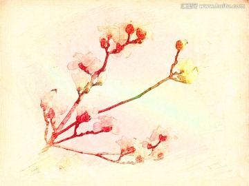玉蘭花油畫