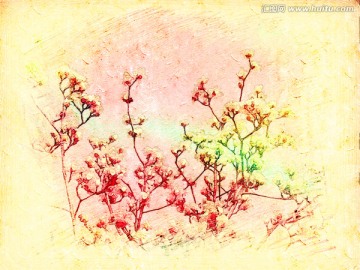 玉蘭花油畫
