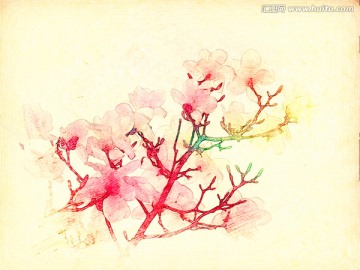 玉蘭花油畫