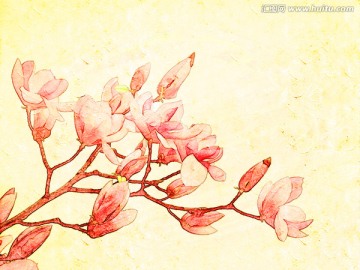 玉蘭花油畫