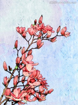 玉蘭花油畫(huà)