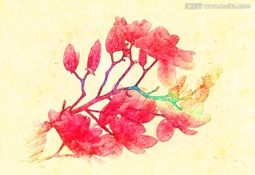 玉蘭花油畫(huà)