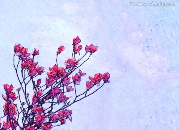 玉蘭花油畫