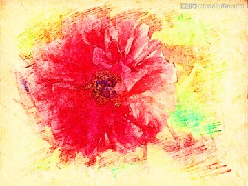 牡丹花油畫