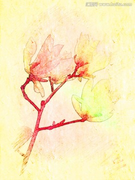 牡丹花油畫