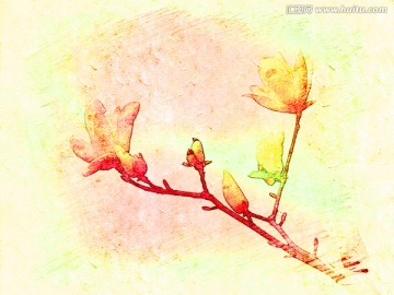 牡丹花油畫