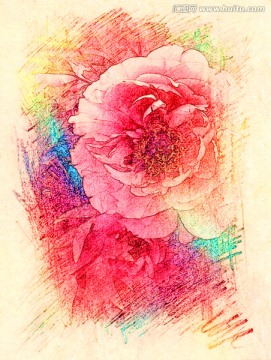 牡丹花油畫